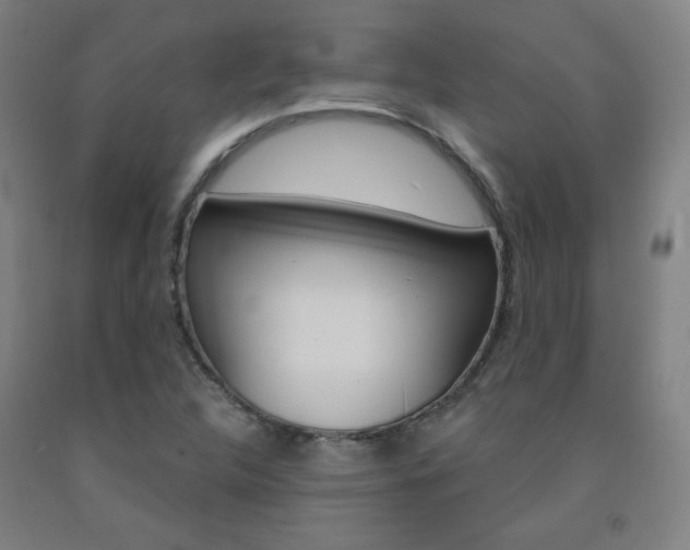 X0000093131312200709261027