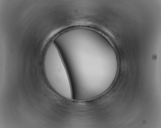 X0000093131315200709261027