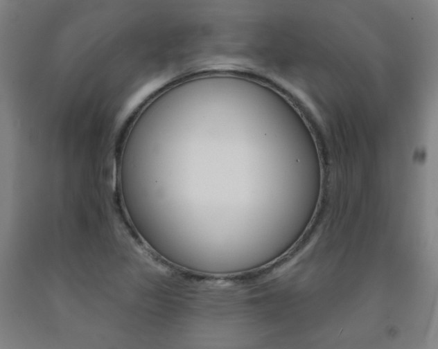 X0000093131317200709261027