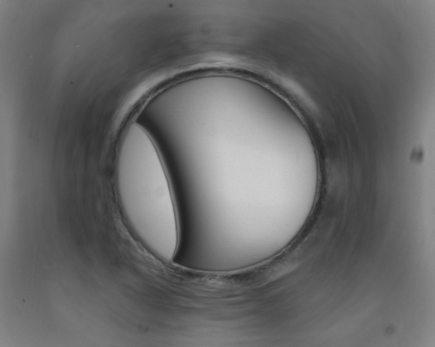X0000093131318200709261027