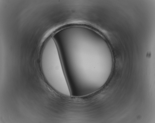 X0000093131319200709261027
