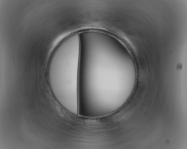 X0000093131320200709261027