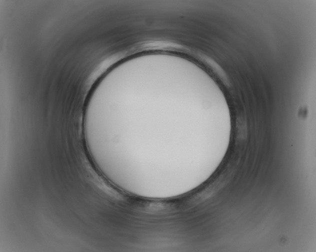 X0000093131322200709261027