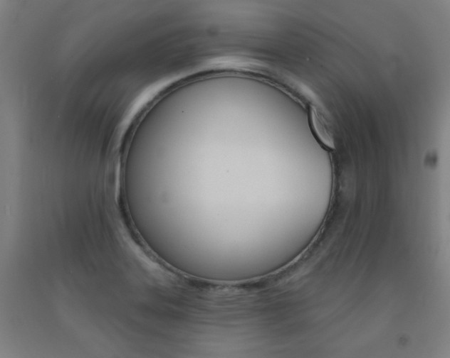 X0000093131323200709261027