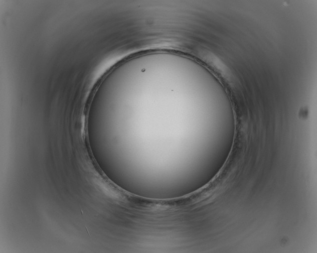 X0000093131324200709261027