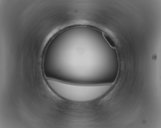 X0000093131326200709261027