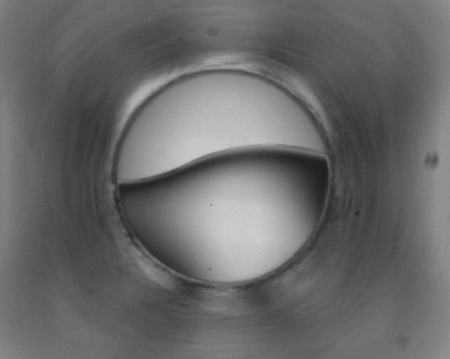 X0000093131328200709261027