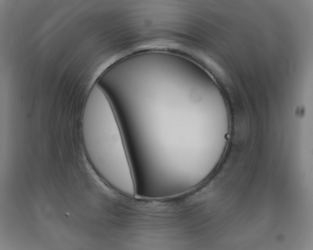 X0000093131329200709261027