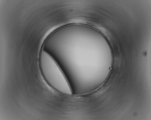 X0000093131331200709261027