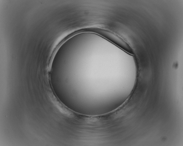 X0000093131332200709261027