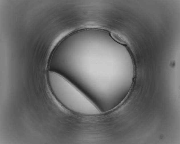 X0000093131333200709261027