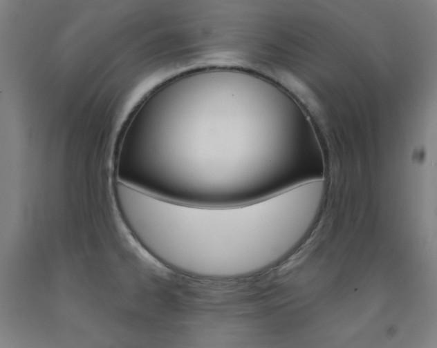 X0000093131334200709261027