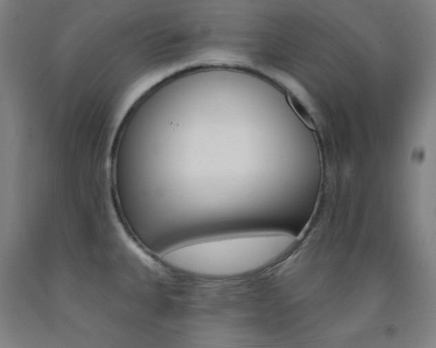 X0000093131335200709261027