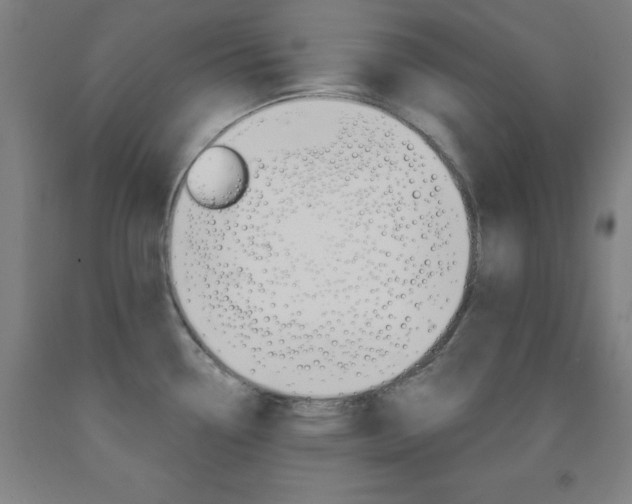 X0000093131338200709261027