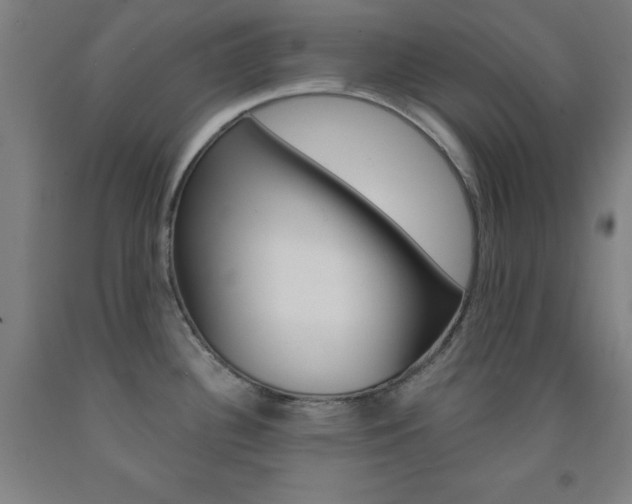 X0000093131340200709261027
