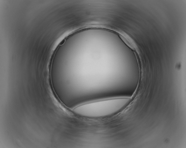 X0000093131341200709261027
