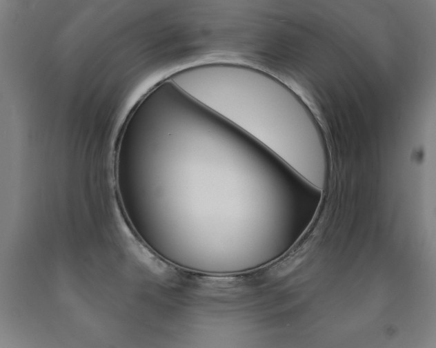 X0000093131342200709261027