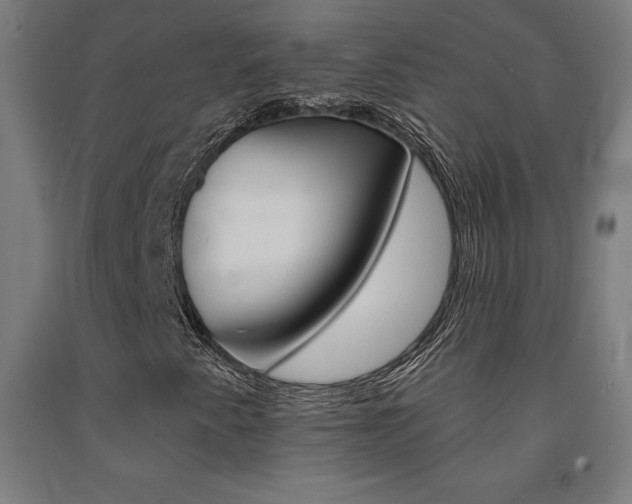 X0000093131345200709261027