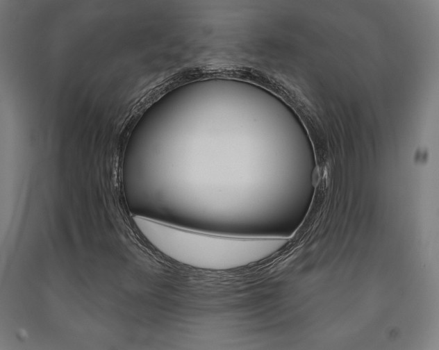 X0000093131348200709261027