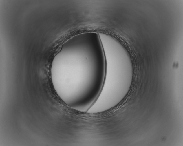 X0000093131349200709261027