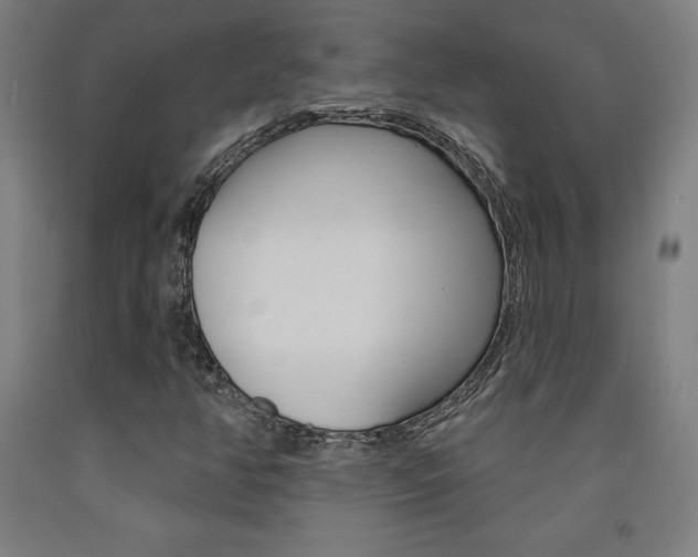 X0000093131350200709261027
