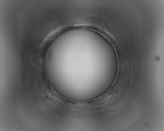 X0000093131351200709261027