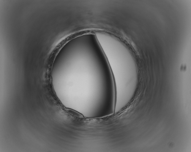 X0000093131352200709261027