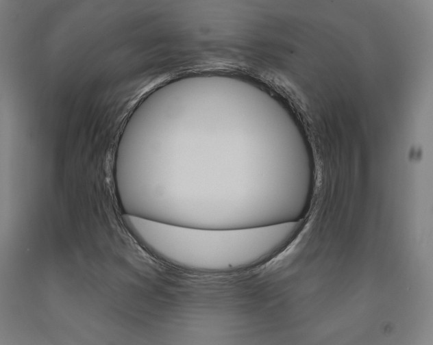 X0000093131353200709261027
