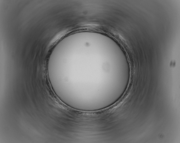 X0000093131354200709261027