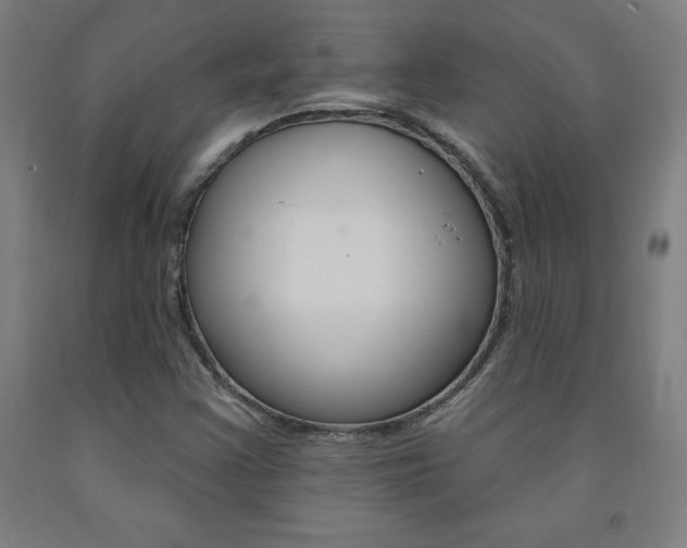 X0000093131355200709261026