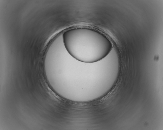 X0000093131356200709261026