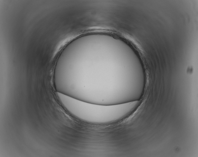 X0000093131357200709261026