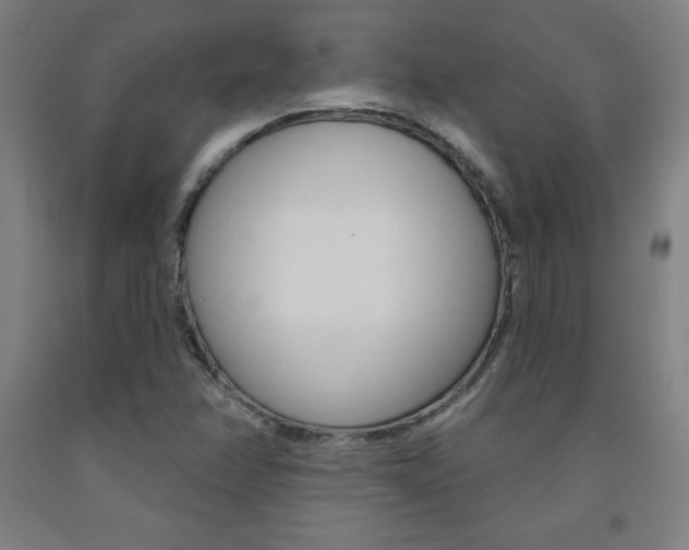 X0000093131358200709261026