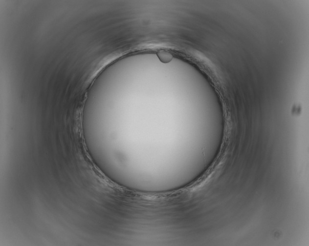 X0000093131361200709261026