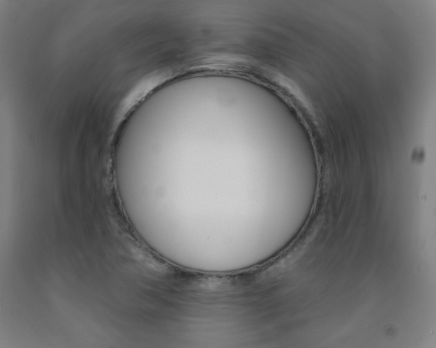 X0000093131362200709261026