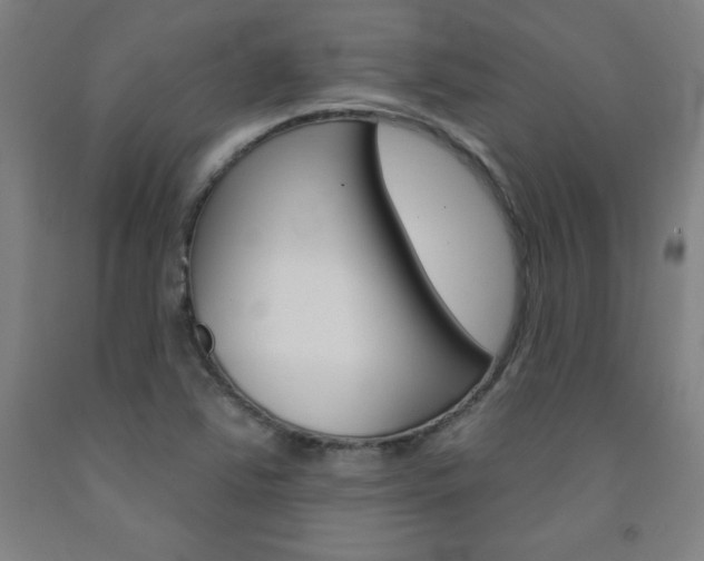 X0000093131363200709261026
