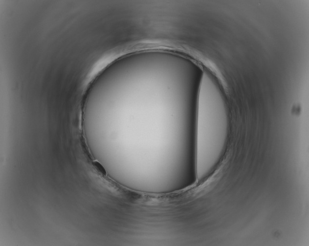 X0000093131365200709261026