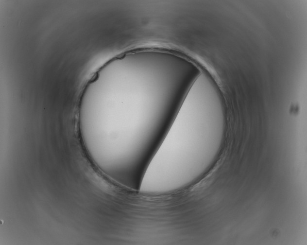 X0000093131367200709261026