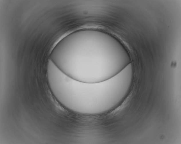 X0000093131369200709261026