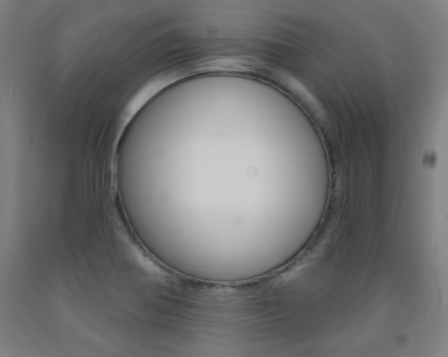X0000093131370200709261026