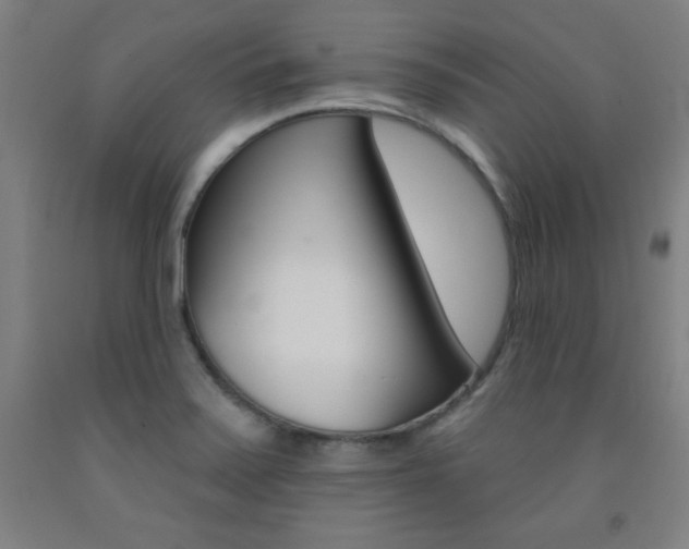 X0000093131371200709261026