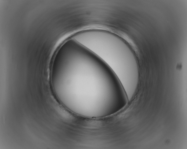 X0000093131372200709261026