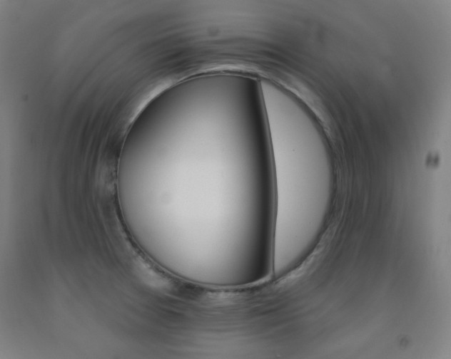 X0000093131377200709261026