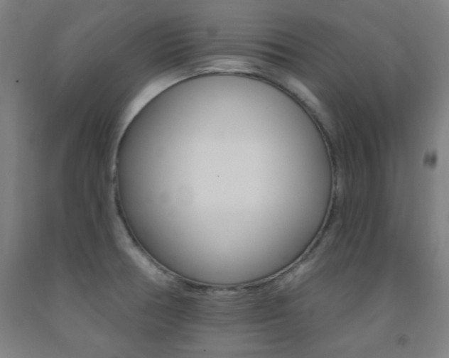 X0000093131378200709261026
