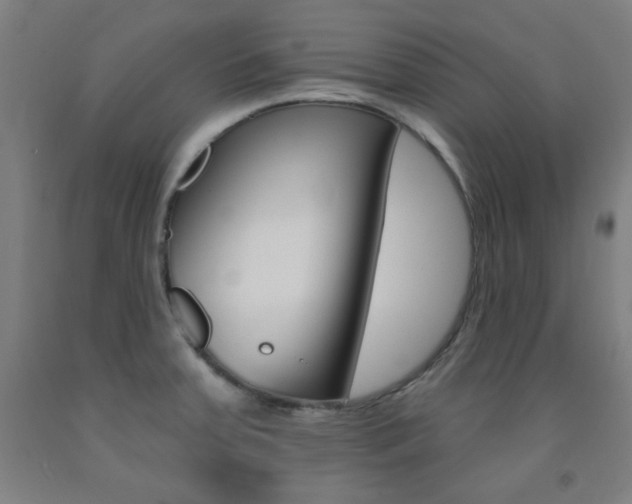 X0000093131379200709261026