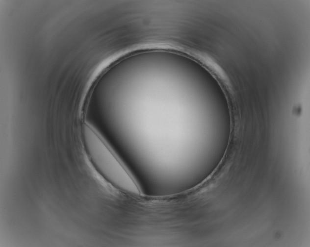 X0000093131380200709261026