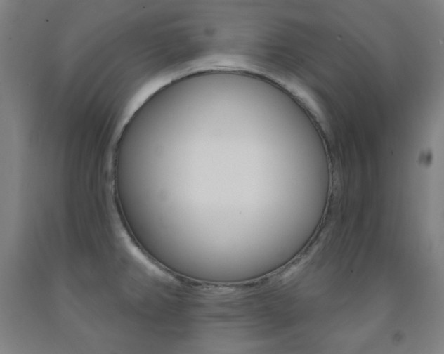 X0000093131382200709261026