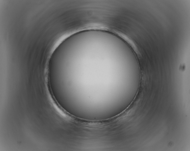 X0000093131383200709261026