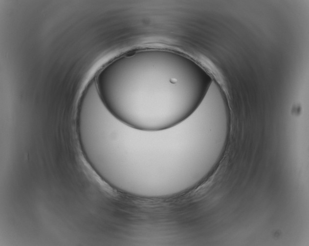 X0000093131384200709261026
