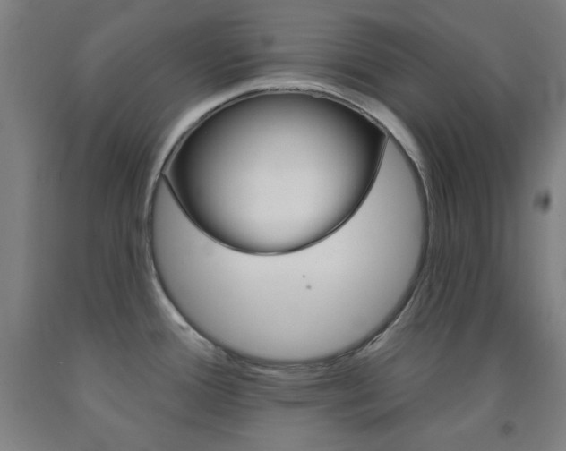 X0000093131388200709261026